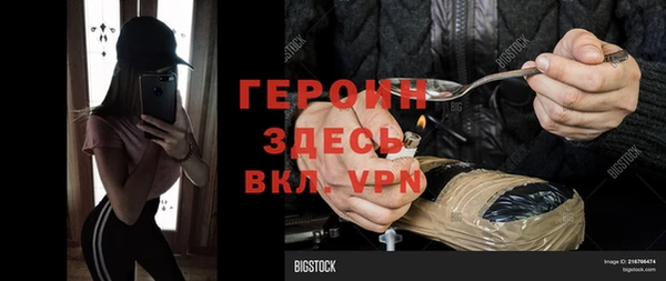 сатива Елизово